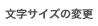 文字サイズの変更